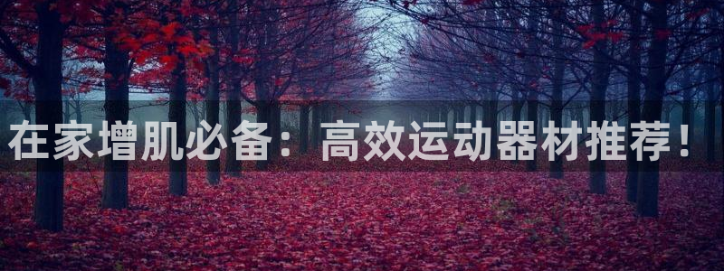 意昂5(KGAME)娱乐平台：在家增肌必备：高效运动器材推荐