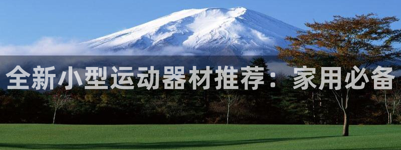 意昂体育5(KGAME)软件：全新小型运动器材推荐：家用必备