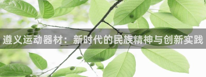 意昂体育5(KGAME)招商电话地址：遵义运动器材：新时代的