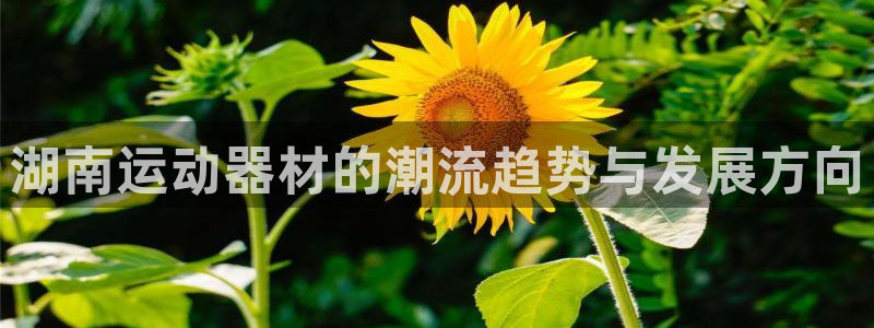 意昂体育5(KGAME)娱乐：湖南运动器材的潮流趋势与发展方